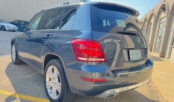 2014 Mercedes-Benz GLK 250 BlueTEC 4MATIC full