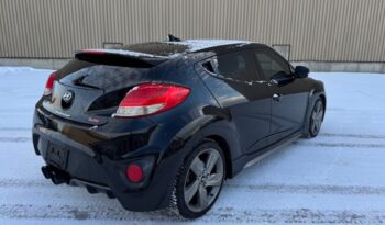 2014 Hyundai Veloster 3dr Cpe Man Turbo w/Black Int full